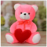 PINK SOFT TEDDY BEAR